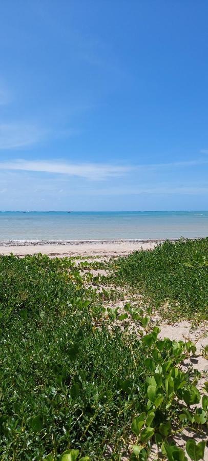 Arataba Hotel Boutique E Bistro - 150 Mts Do Mar Porto de Pedras Ngoại thất bức ảnh